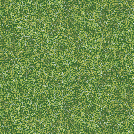 FROGS & FRONDS           